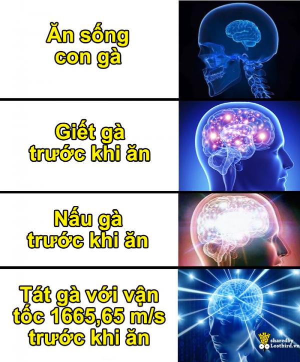Sinh viên chuyên lý chỉ cách 'tát để nấu chín con gà', dân mạng lại được dịp cười nội thương với loạt meme mới Sinh viên chuyên lý chỉ cách 'tát để nấu chín con gà', dân mạng lại được dịp cười nội thương với loạt meme mới
