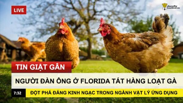 Sinh viên chuyên lý chỉ cách 'tát để nấu chín con gà', dân mạng lại được dịp cười nội thương với loạt meme mới Sinh viên chuyên lý chỉ cách 'tát để nấu chín con gà', dân mạng lại được dịp cười nội thương với loạt meme mới