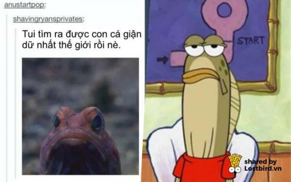Những meme 'mặn mà' trên Tumblr cho thấy đây chính là MXH 'nhiều muối' nhất Internet Những meme 'mặn mà' trên Tumblr cho thấy đây chính là MXH 'nhiều muối' nhất Internet