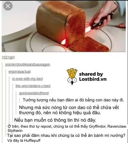 Những meme 'mặn mà' trên Tumblr cho thấy đây chính là MXH 'nhiều muối' nhất Internet Những meme 'mặn mà' trên Tumblr cho thấy đây chính là MXH 'nhiều muối' nhất Internet