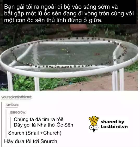 Những meme 'mặn mà' trên Tumblr cho thấy đây chính là MXH 'nhiều muối' nhất Internet Những meme 'mặn mà' trên Tumblr cho thấy đây chính là MXH 'nhiều muối' nhất Internet