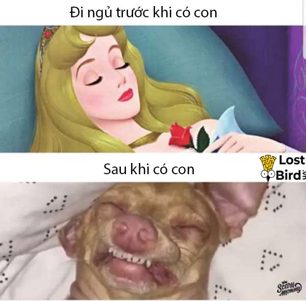 Tuyển tập meme "Trước và Sau khi có con" từ những người mới lên chức bố mẹ Tuyển tập meme "Trước và Sau khi có con" từ những người mới lên chức bố mẹ