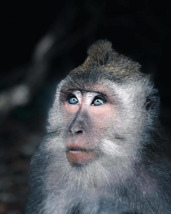 20 bức ảnh thiên nhiên đỉnh nhất từ cuộc thi nhiếp ảnh trên Instagram của National Geographic 20 bức ảnh thiên nhiên đỉnh nhất từ cuộc thi nhiếp ảnh trên Instagram của National Geographic