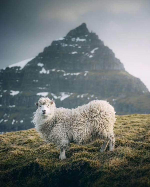 20 bức ảnh thiên nhiên đỉnh nhất từ cuộc thi nhiếp ảnh trên Instagram của National Geographic 20 bức ảnh thiên nhiên đỉnh nhất từ cuộc thi nhiếp ảnh trên Instagram của National Geographic