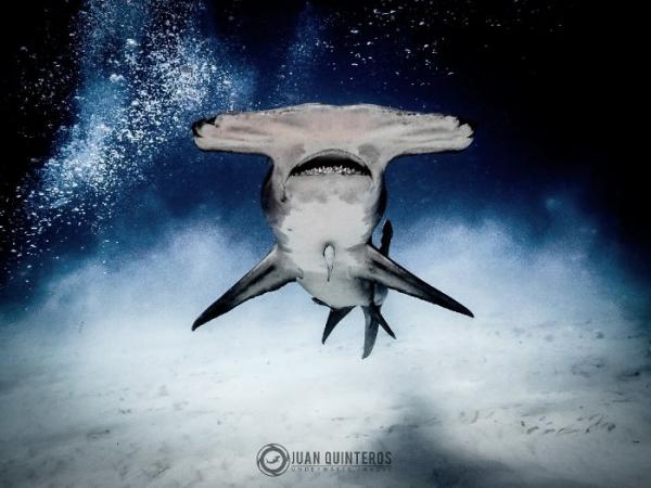 20 bức ảnh thiên nhiên đỉnh nhất từ cuộc thi nhiếp ảnh trên Instagram của National Geographic 20 bức ảnh thiên nhiên đỉnh nhất từ cuộc thi nhiếp ảnh trên Instagram của National Geographic