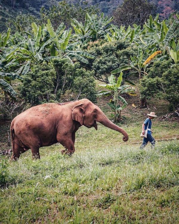 20 bức ảnh thiên nhiên đỉnh nhất từ cuộc thi nhiếp ảnh trên Instagram của National Geographic 20 bức ảnh thiên nhiên đỉnh nhất từ cuộc thi nhiếp ảnh trên Instagram của National Geographic