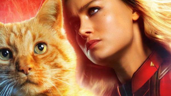 Captain Marvel bị đánh giá là một phim 'qua loa chiếu lệ' bởi giới phê bình Captain Marvel bị đánh giá là một phim 'qua loa chiếu lệ' bởi giới phê bình