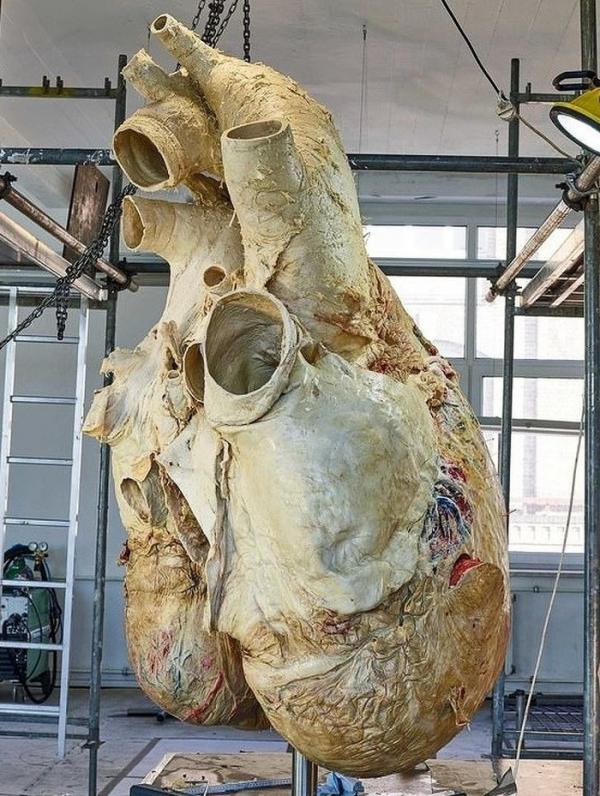 14 sự thật siêu thú vị về cuộc sống quanh ta 14 sự thật siêu thú vị về cuộc sống quanh ta