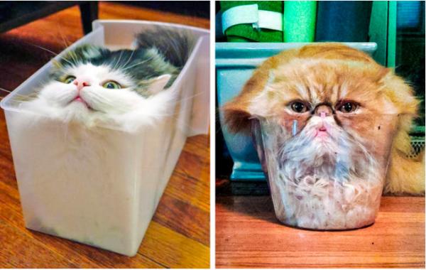 14 sự thật siêu thú vị về cuộc sống quanh ta 14 sự thật siêu thú vị về cuộc sống quanh ta