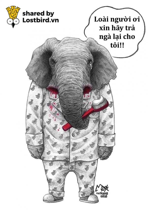 Bộ tranh ANIMAN khắc họa thế giới động vật đáng thương vì bàn tay nhuốm máu của con người Bộ tranh ANIMAN khắc họa thế giới động vật đáng thương vì bàn tay nhuốm máu của con người