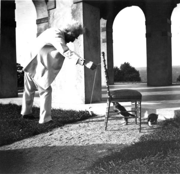 Những sự tích về Mark Twain - người hài hước vĩ đại nhất nước Mỹ cũng là kẻ yêu mèo điên cuồng Những sự tích về Mark Twain - người hài hước vĩ đại nhất nước Mỹ cũng là kẻ yêu mèo điên cuồng