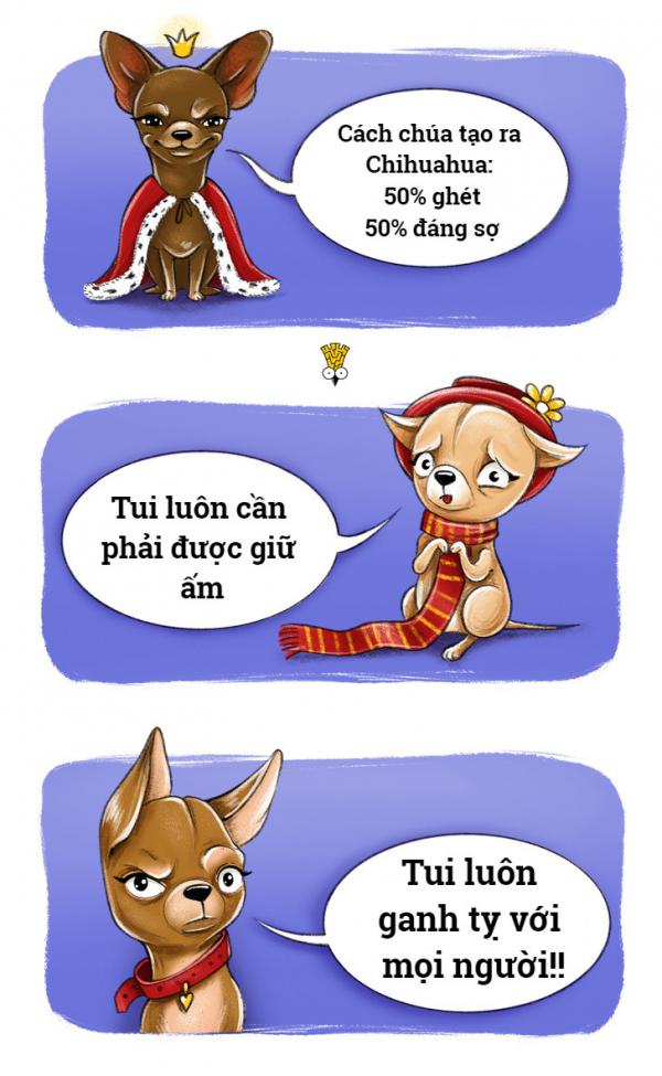 'Chết cười' với thói quen đáng yêu của những giống chó nổi tiếng (P1) 'Chết cười' với thói quen đáng yêu của những giống chó nổi tiếng (P1)
