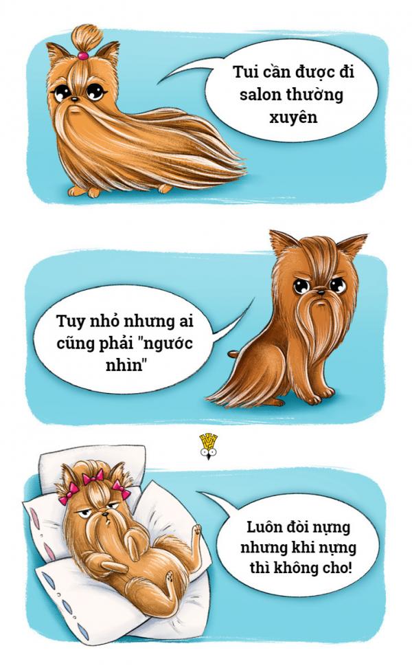 'Chết cười' với thói quen đáng yêu của những giống chó nổi tiếng (P1) 'Chết cười' với thói quen đáng yêu của những giống chó nổi tiếng (P1)