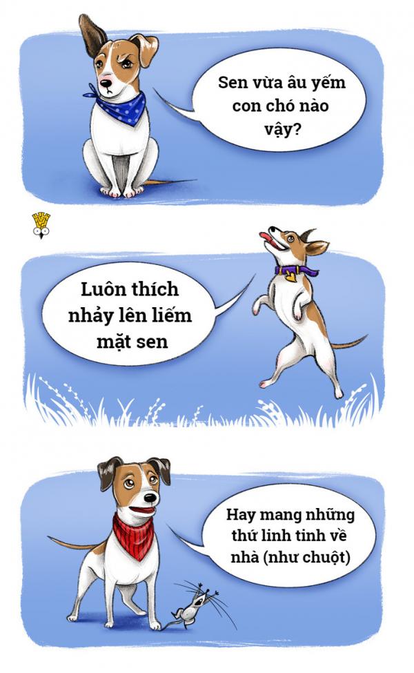 'Chết cười' với thói quen đáng yêu của những giống chó nổi tiếng (P1) 'Chết cười' với thói quen đáng yêu của những giống chó nổi tiếng (P1)