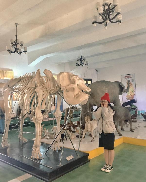 Lên Đà Lạt chụp ảnh 'sống ảo' cùng xương khủng long, bạn có muốn thử? Lên Đà Lạt chụp ảnh 'sống ảo' cùng xương khủng long, bạn có muốn thử?