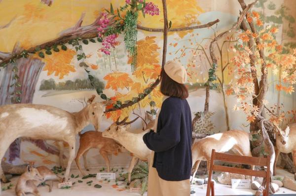 Lên Đà Lạt chụp ảnh 'sống ảo' cùng xương khủng long, bạn có muốn thử? Lên Đà Lạt chụp ảnh 'sống ảo' cùng xương khủng long, bạn có muốn thử?