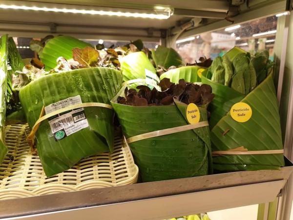 Học hỏi Thái Lan bảo vệ môi trường bằng cách sử dụng lá chuối bọc thực phẩm trong siêu thị Học hỏi Thái Lan bảo vệ môi trường bằng cách sử dụng lá chuối bọc thực phẩm trong siêu thị