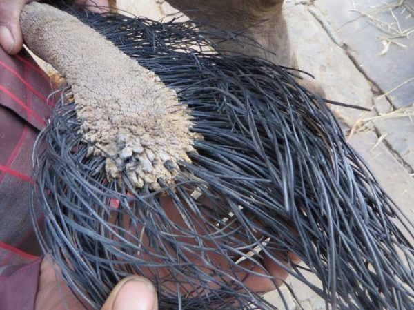 'Tròn mắt' với những khoảnh khắc độc đáo không thể bắt gặp hàng ngày 'Tròn mắt' với những khoảnh khắc độc đáo không thể bắt gặp hàng ngày