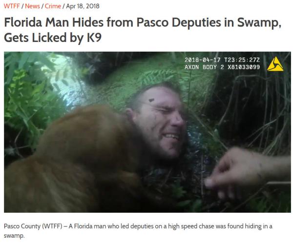 Cùng trào lưu 'Florida Man', khám phá xem độ khìn khìn của bạn là kiểu người Florida nào? Cùng trào lưu 'Florida Man', khám phá xem độ khìn khìn của bạn là kiểu người Florida nào?