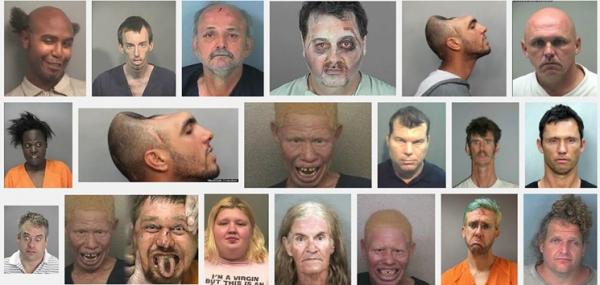 Cùng trào lưu 'Florida Man', khám phá xem độ khìn khìn của bạn là kiểu người Florida nào? Cùng trào lưu 'Florida Man', khám phá xem độ khìn khìn của bạn là kiểu người Florida nào?