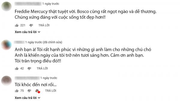 Chào đón những chú chó bị bỏ rơi bằng cách để chúng tự chọn nguyên liệu cho bữa cơm nhà đầu tiên Chào đón những chú chó bị bỏ rơi bằng cách để chúng tự chọn nguyên liệu cho bữa cơm nhà đầu tiên
