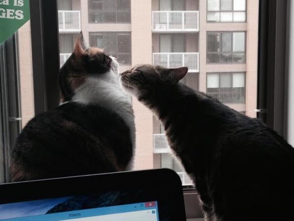 Friendzone là gì, ăn được không? Nhưng sao nhiều người lại 'một đi không trở lại'? Friendzone là gì, ăn được không? Nhưng sao nhiều người lại 'một đi không trở lại'?