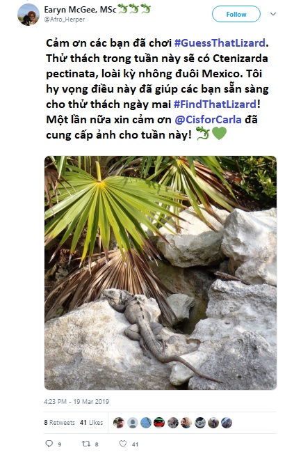 Kiểm tra kiến thức về động vật bằng những thử thách này trên Twitter Kiểm tra kiến thức về động vật bằng những thử thách này trên Twitter