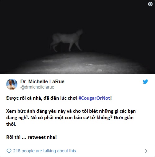 Kiểm tra kiến thức về động vật bằng những thử thách này trên Twitter Kiểm tra kiến thức về động vật bằng những thử thách này trên Twitter