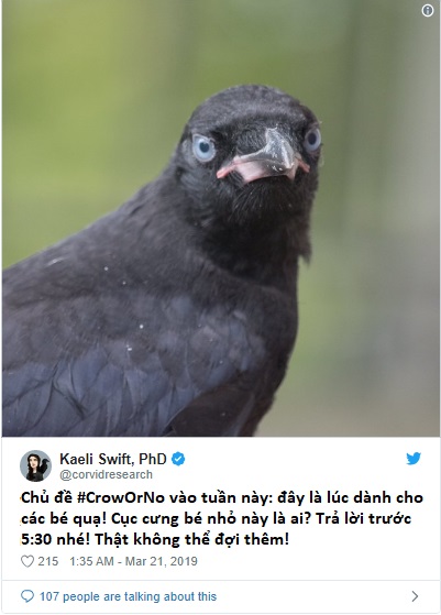 Kiểm tra kiến thức về động vật bằng những thử thách này trên Twitter Kiểm tra kiến thức về động vật bằng những thử thách này trên Twitter