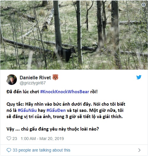 Kiểm tra kiến thức về động vật bằng những thử thách này trên Twitter Kiểm tra kiến thức về động vật bằng những thử thách này trên Twitter