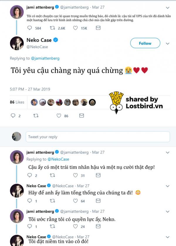 Thấy lòng vui lạ khi xem ảnh anh tài xế thân thiện cùng các bé chó trên đường đi làm Thấy lòng vui lạ khi xem ảnh anh tài xế thân thiện cùng các bé chó trên đường đi làm