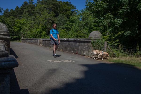 Vén màn bí ẩn về cây cầu ma ám của Scotland: Chó cứ đến nơi là tự sát? Vén màn bí ẩn về cây cầu ma ám của Scotland: Chó cứ đến nơi là tự sát?