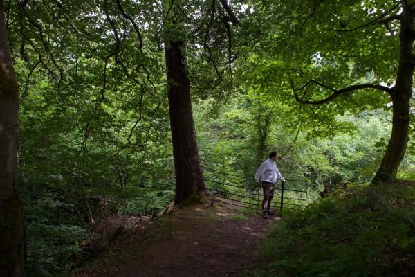 Vén màn bí ẩn về cây cầu ma ám của Scotland: Chó cứ đến nơi là tự sát? Vén màn bí ẩn về cây cầu ma ám của Scotland: Chó cứ đến nơi là tự sát?