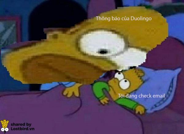 25 meme hài hước về chú cú nhắc học bài của Duolingo 25 meme hài hước về chú cú nhắc học bài của Duolingo