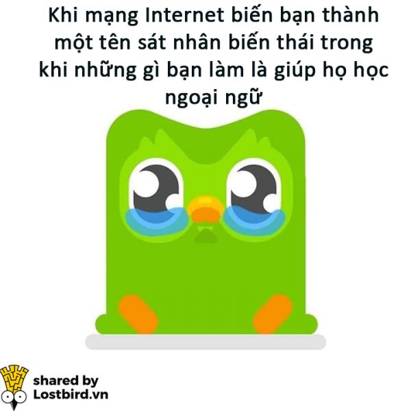 25 meme hài hước về chú cú nhắc học bài của Duolingo 25 meme hài hước về chú cú nhắc học bài của Duolingo