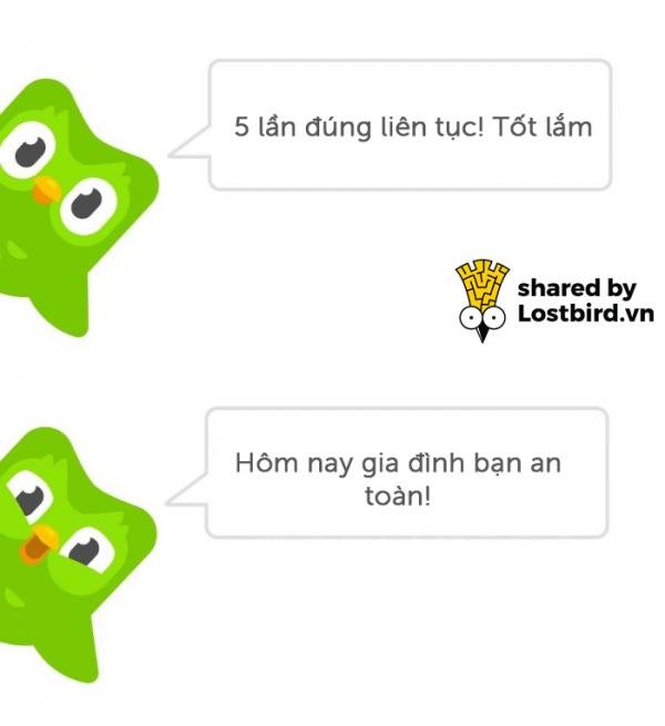 25 meme hài hước về chú cú nhắc học bài của Duolingo 25 meme hài hước về chú cú nhắc học bài của Duolingo