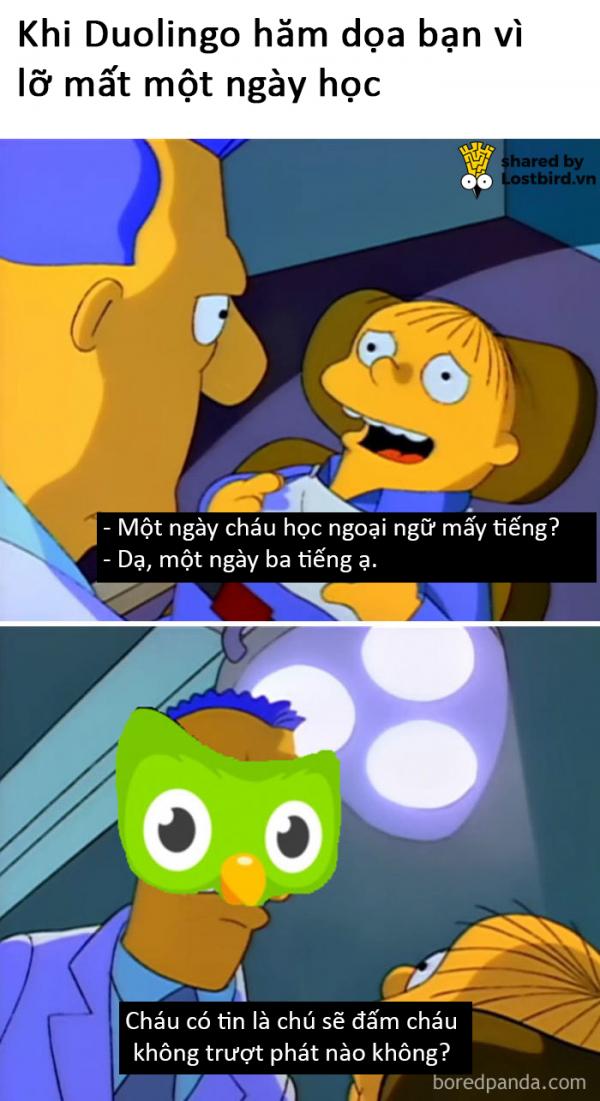 25 meme hài hước về chú cú nhắc học bài của Duolingo 25 meme hài hước về chú cú nhắc học bài của Duolingo