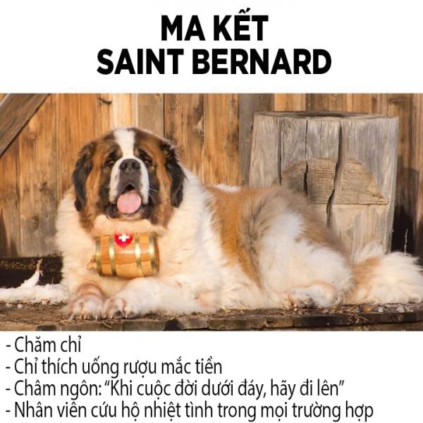 Các chòm sao sẽ tương ứng với giống chó nào? Các chòm sao sẽ tương ứng với giống chó nào?