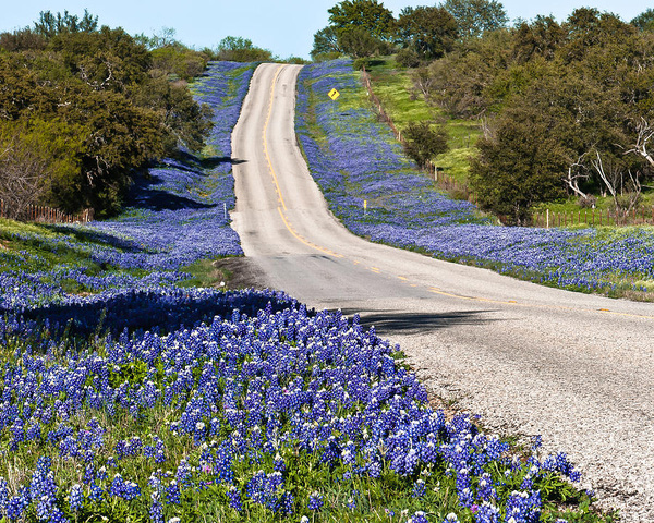 Các anh cảnh sát vui tính ở bang Texas và trào lưu chụp ảnh sương sương trong mùa hoa nở Các anh cảnh sát vui tính ở bang Texas và trào lưu chụp ảnh sương sương trong mùa hoa nở