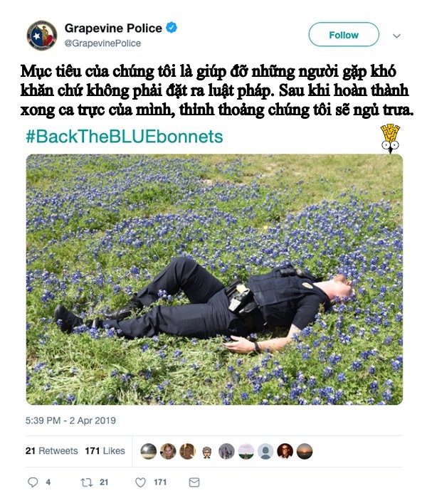 Các anh cảnh sát vui tính ở bang Texas và trào lưu chụp ảnh sương sương trong mùa hoa nở Các anh cảnh sát vui tính ở bang Texas và trào lưu chụp ảnh sương sương trong mùa hoa nở