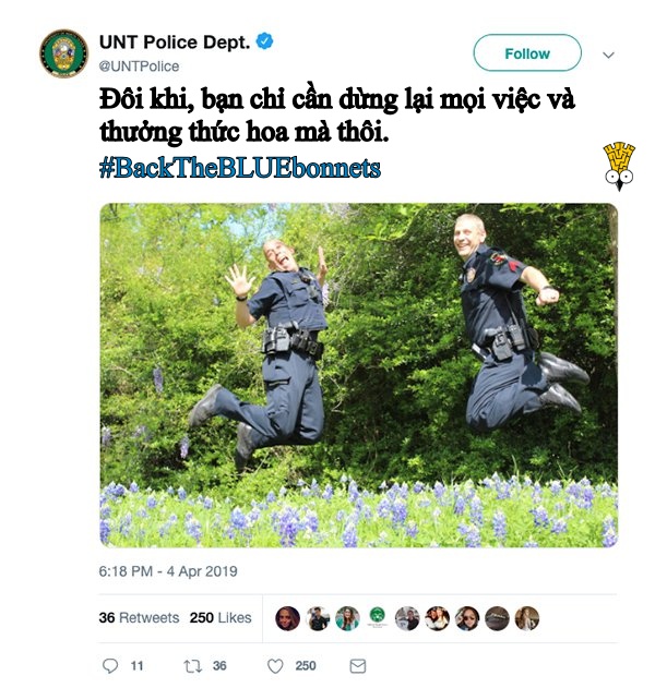 Các anh cảnh sát vui tính ở bang Texas và trào lưu chụp ảnh sương sương trong mùa hoa nở Các anh cảnh sát vui tính ở bang Texas và trào lưu chụp ảnh sương sương trong mùa hoa nở