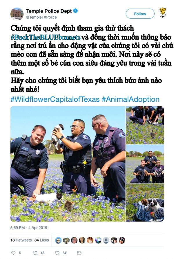 Các anh cảnh sát vui tính ở bang Texas và trào lưu chụp ảnh sương sương trong mùa hoa nở Các anh cảnh sát vui tính ở bang Texas và trào lưu chụp ảnh sương sương trong mùa hoa nở