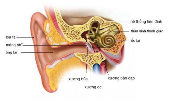Chuyện kì lạ gì sẽ xảy ra với chúng ta nếu được sinh ra và lớn lên trong vũ trụ? Chuyện kì lạ gì sẽ xảy ra với chúng ta nếu được sinh ra và lớn lên trong vũ trụ?
