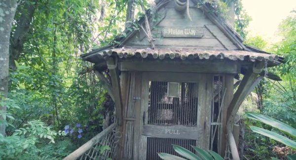 Cảnh tượng hoang tàn đổ nát trên hòn đảo bị Disney bỏ hoang suốt 2 thập kỷ Cảnh tượng hoang tàn đổ nát trên hòn đảo bị Disney bỏ hoang suốt 2 thập kỷ