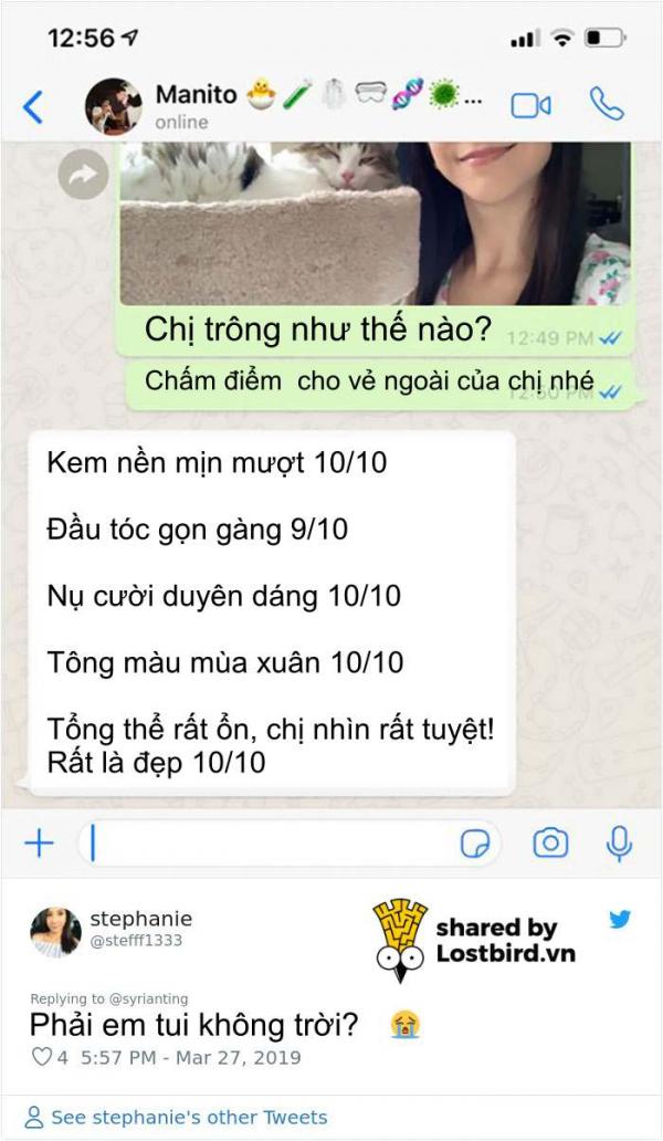 Cánh đàn ông trả lời sao khi được chị em ruột gửi ảnh tự sướng và hỏi trông họ thế nào? Cánh đàn ông trả lời sao khi được chị em ruột gửi ảnh tự sướng và hỏi trông họ thế nào?