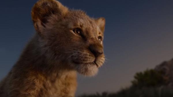 Nhân vật Scar trong 'Lion King' bản live-action không có bờm đen khiến khán giả 'khó ở' Nhân vật Scar trong 'Lion King' bản live-action không có bờm đen khiến khán giả 'khó ở'
