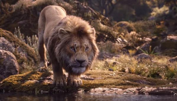 Nhân vật Scar trong 'Lion King' bản live-action không có bờm đen khiến khán giả 'khó ở' Nhân vật Scar trong 'Lion King' bản live-action không có bờm đen khiến khán giả 'khó ở'