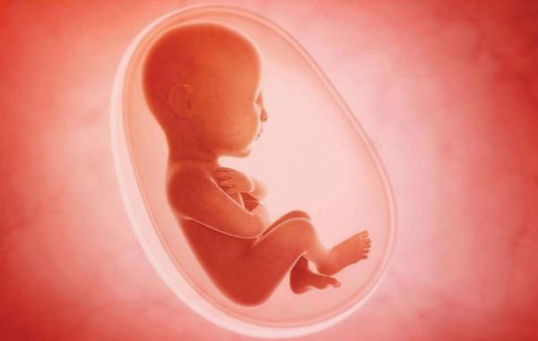 Phụ nữ Hàn Quốc vỡ òa khi Tòa án Hiến pháp bãi bỏ lệnh cấm phá thai sau nhiều thập kỉ Phụ nữ Hàn Quốc vỡ òa khi Tòa án Hiến pháp bãi bỏ lệnh cấm phá thai sau nhiều thập kỉ