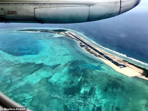 Cô rùa quý hiếm quay về bãi biển Maldives để đẻ trứng, ngỡ ngàng khi xung quanh đã biến thành thành đường băng Cô rùa quý hiếm quay về bãi biển Maldives để đẻ trứng, ngỡ ngàng khi xung quanh đã biến thành thành đường băng