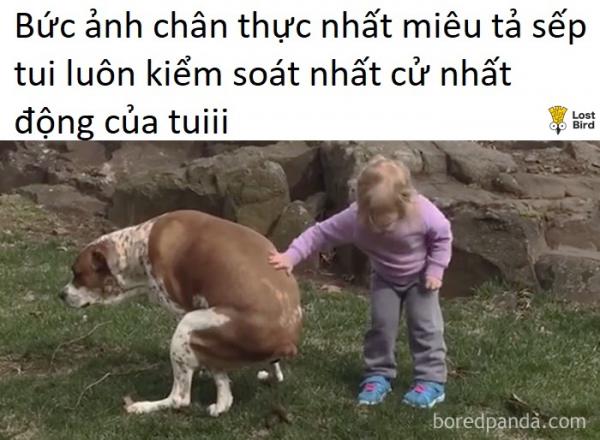 Loạt ảnh không thể đúng hơn về 'mối nhân duyên' giữa sếp và nhân viên Loạt ảnh không thể đúng hơn về 'mối nhân duyên' giữa sếp và nhân viên